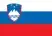 Slovenščina (SL)