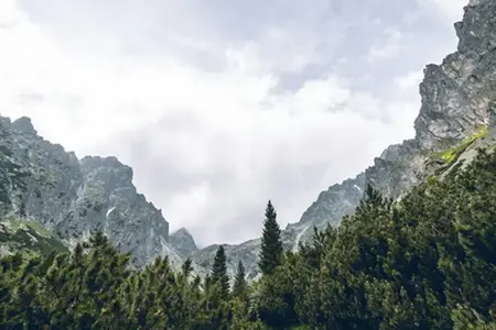 Slovakya'nın otoyolları ve mevcut varış noktaları