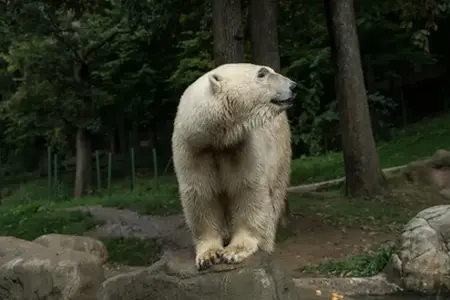 Чешки можности за патување по автопат со вињета