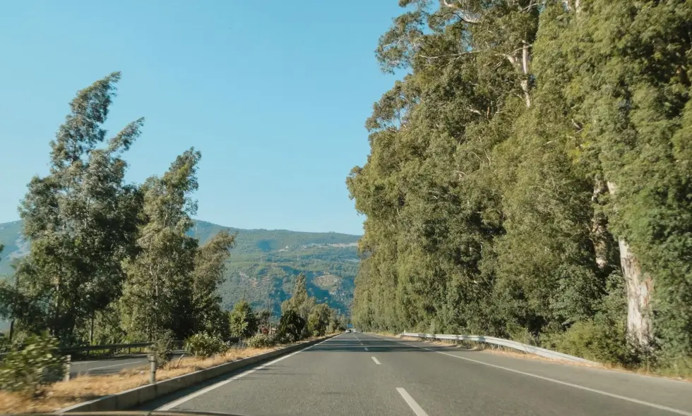 Autopistas de Eslovenia y todo lo que necesitas saber sobre la compra de la viñeta para 2025
