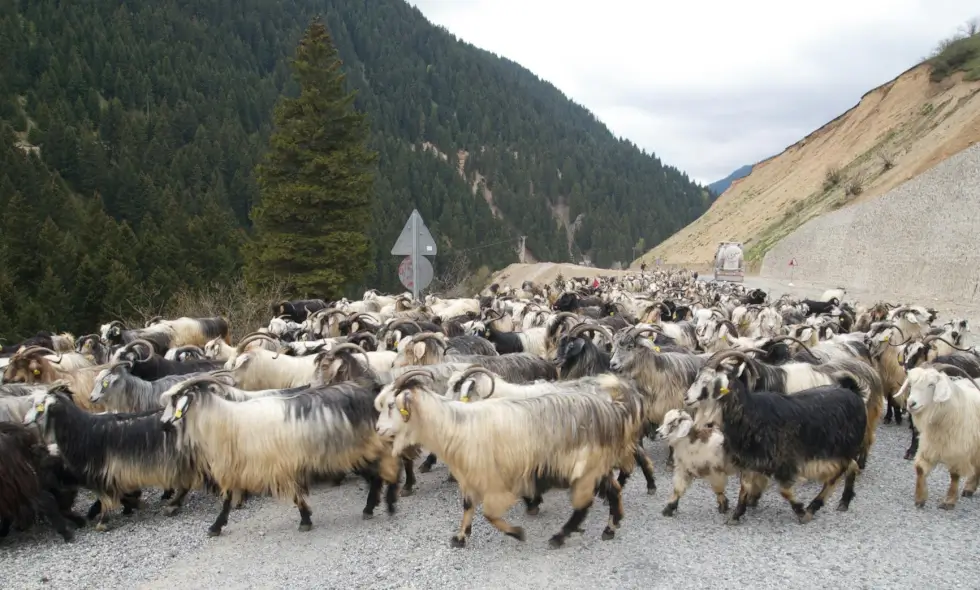 Sibiu-Făgăraș otoyolunun inşaatı başlıyor