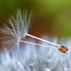 Szlovéniai utazások autópályán: élmények, látnivalók, tudnivalók  