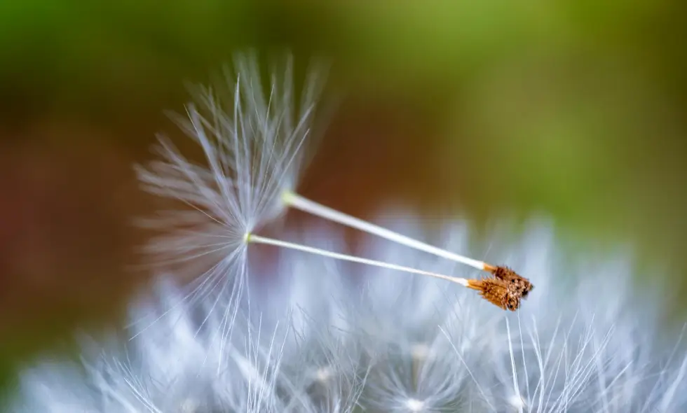 Szlovéniai utazások autópályán: élmények, látnivalók, tudnivalók  